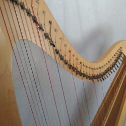 Harp Instruction - 30 Minutes